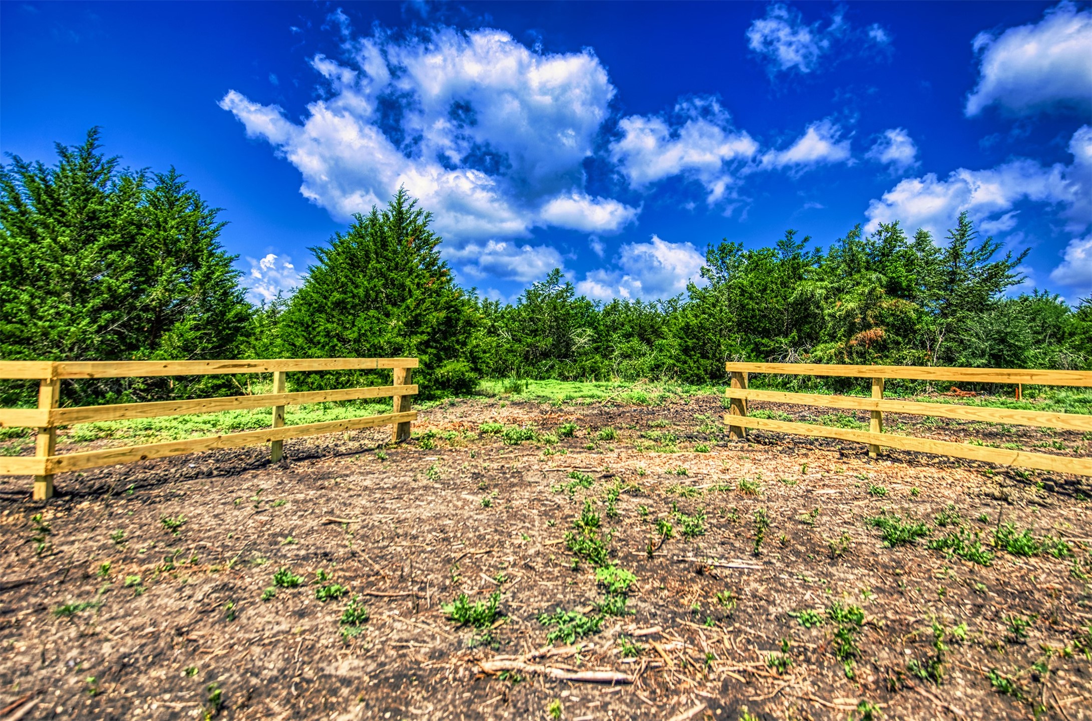 Lot 7 Wonder Hill Road Chappell Hill, TX 77426 - Photo 4 of 13 a view of backyard with green space