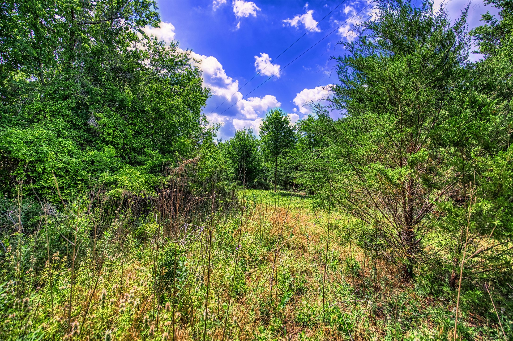Lot 7 Wonder Hill Road Chappell Hill, TX 77426 - Photo 6 of 13 a view of a lake view