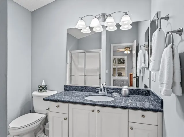 a bathroom with a granite countertop sink a toilet and a large mirror