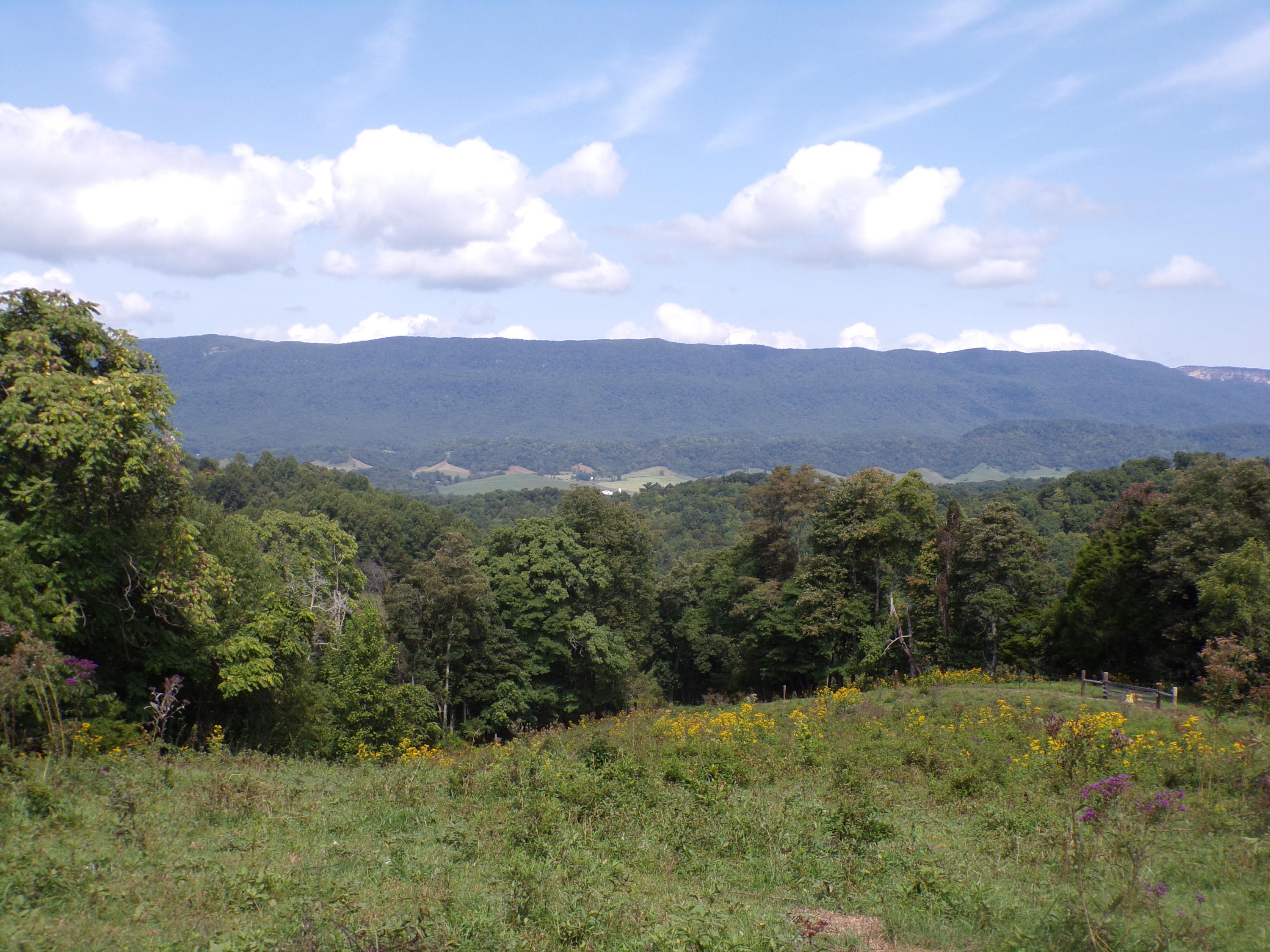 949 Mason Quillen Road Ewing, VA 24248 - Photo 15 of 24 100_0147