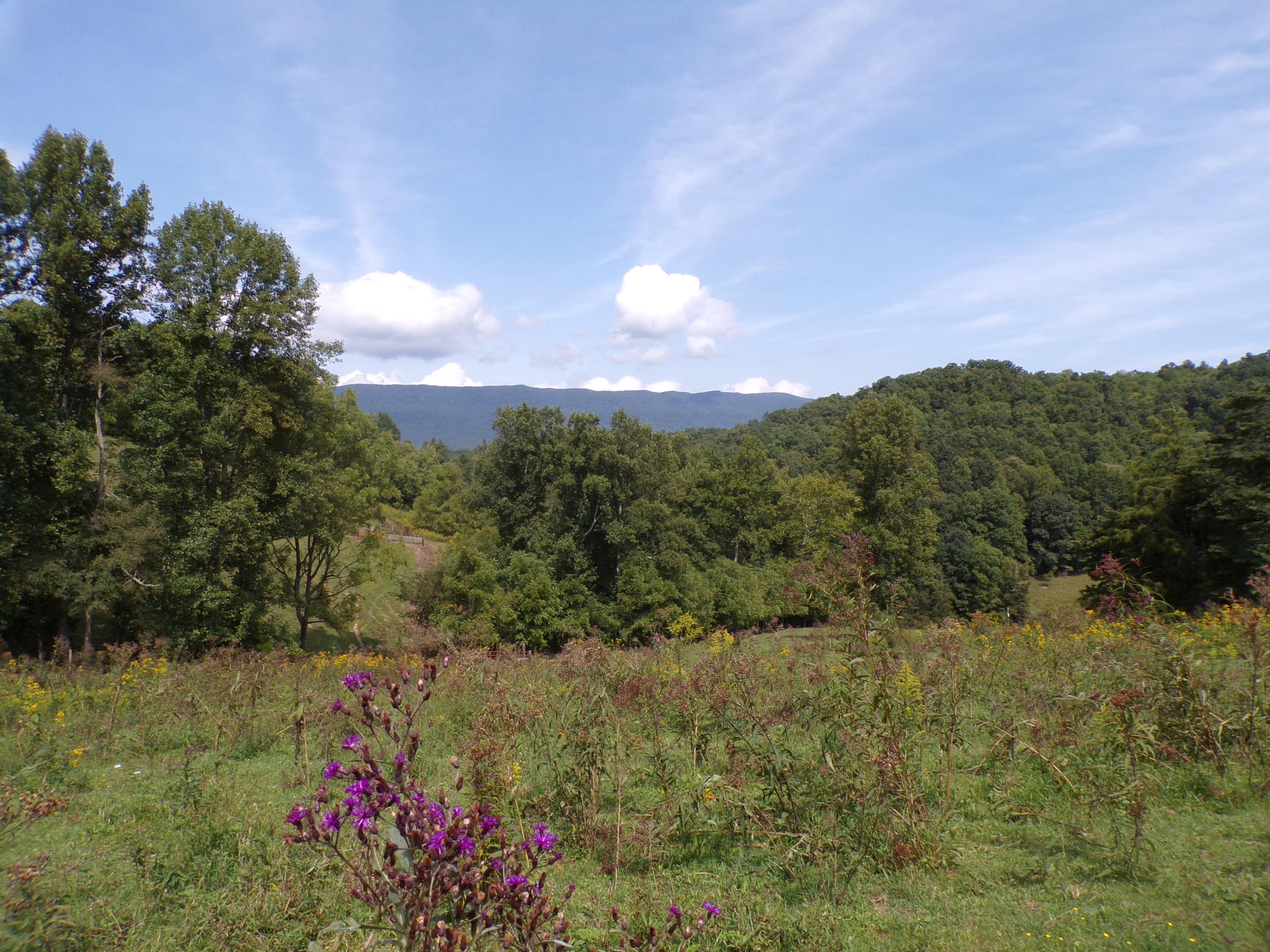 949 Mason Quillen Road Ewing, VA 24248 - Photo 22 of 24 100_0158