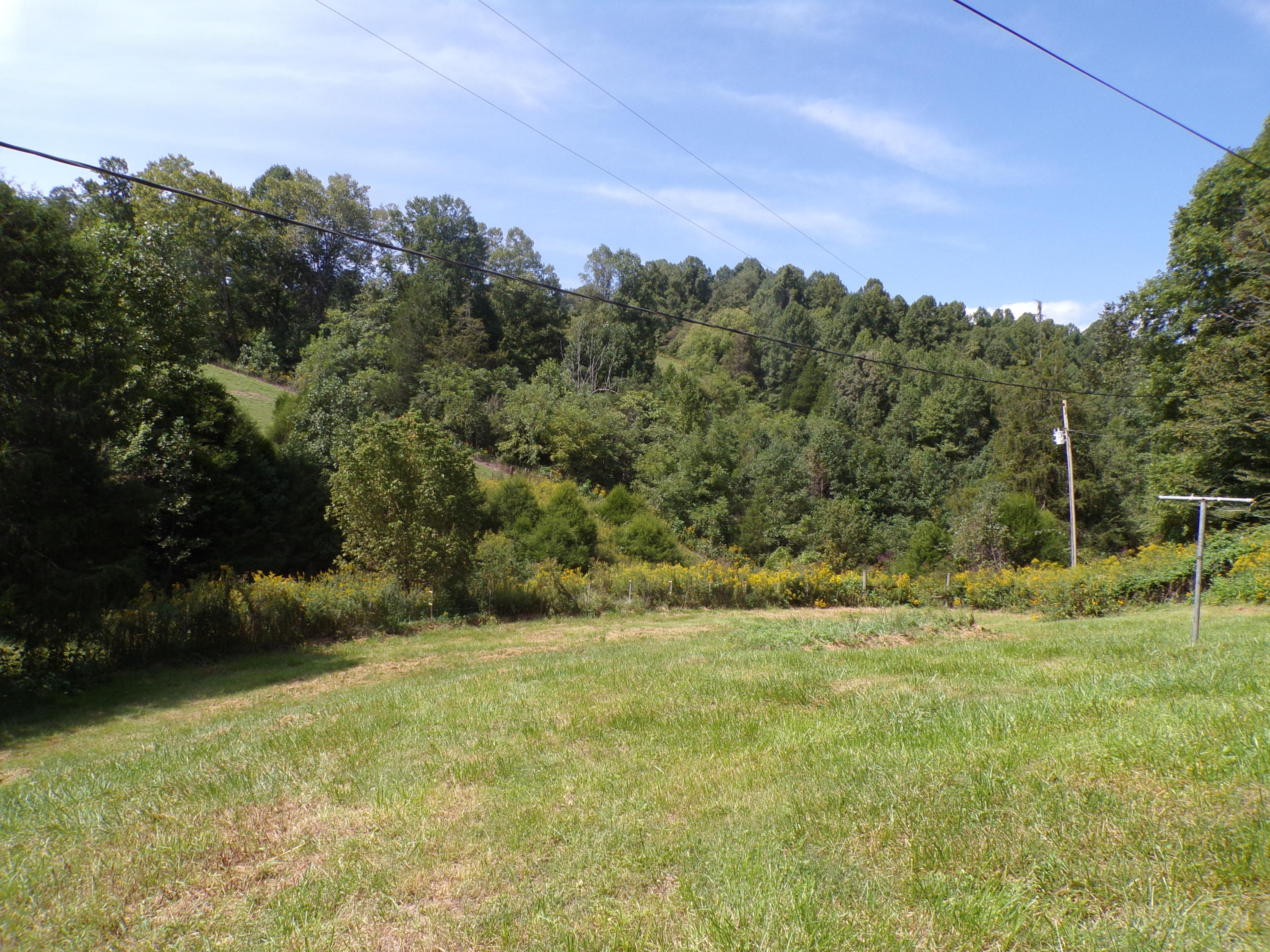 949 Mason Quillen Road Ewing, VA 24248 - Photo 5 of 24 100_0133