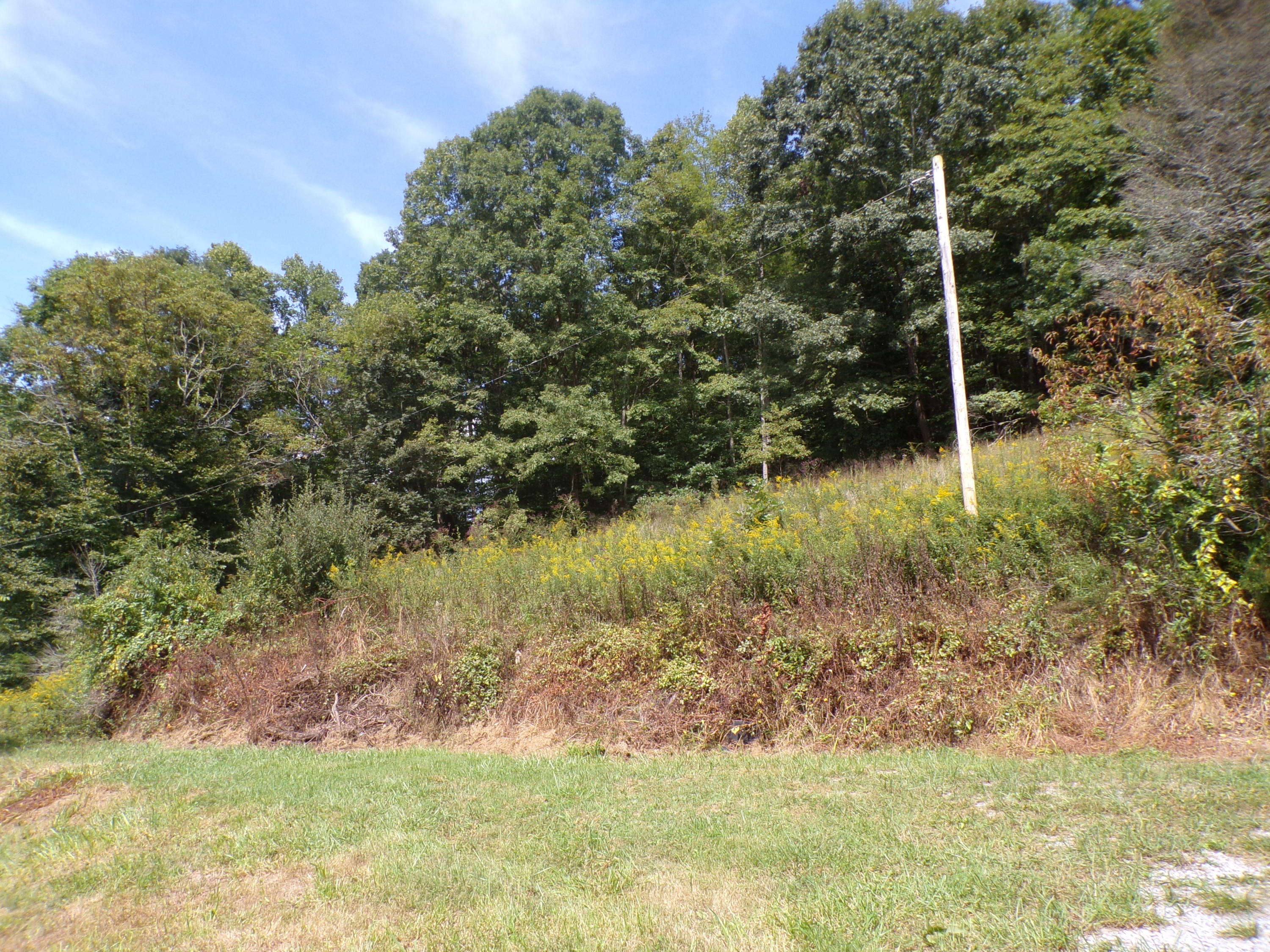 949 Mason Quillen Road Ewing, VA 24248 - Photo 8 of 24 100_0138