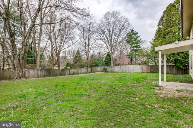 a view of a yard with a tree