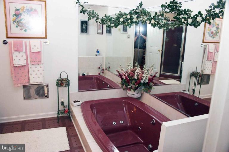 718 Spring Mills Road Westminster, MD 21157 - Photo 18 of 28 Master Bath