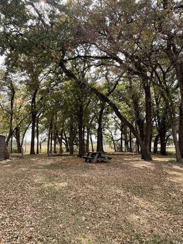 a view of empty field with trees