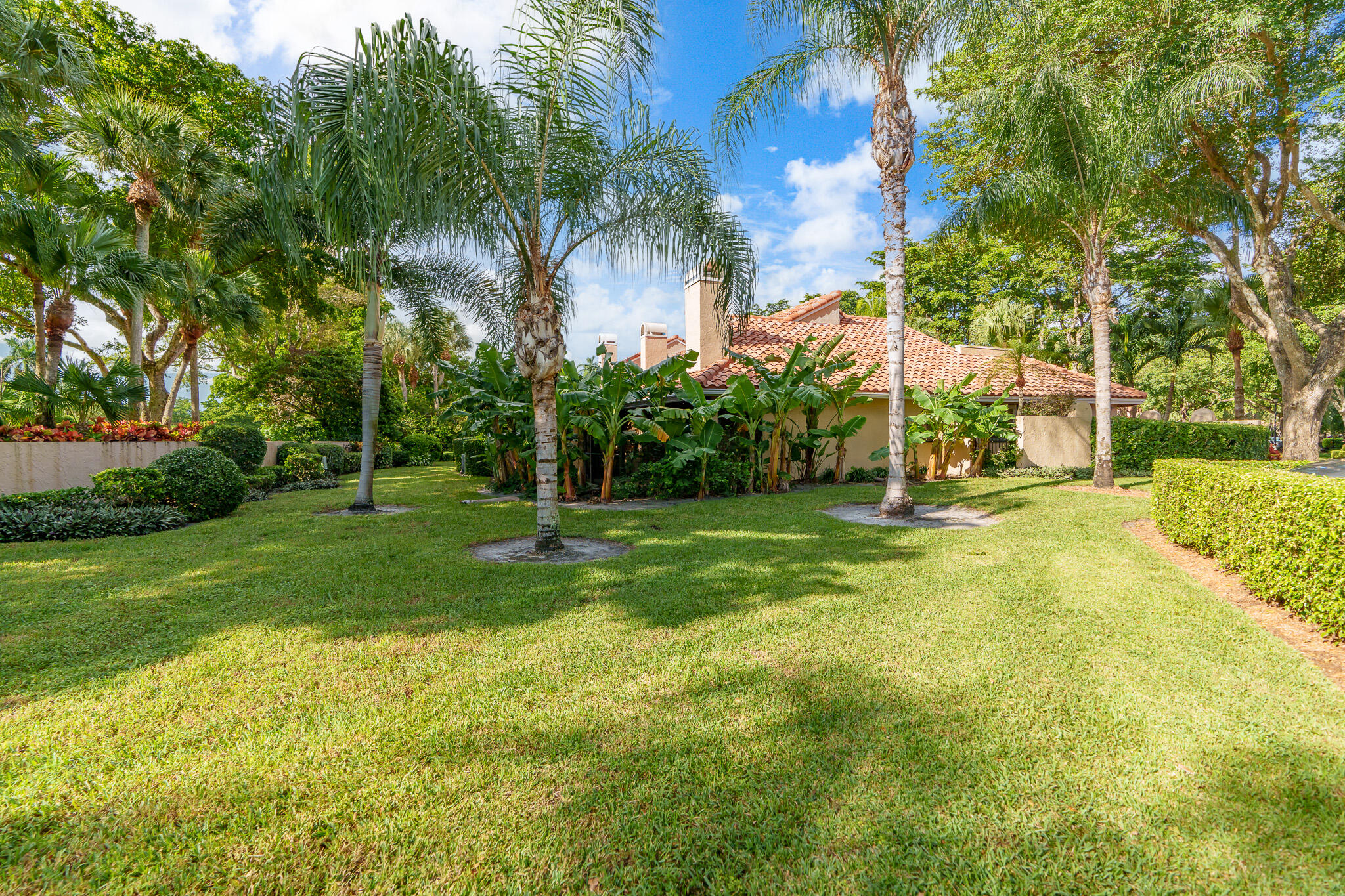 22545 Meridiana Drive Boca Raton, FL 33433 - Photo 53 of 63 a view of a yard with palm trees