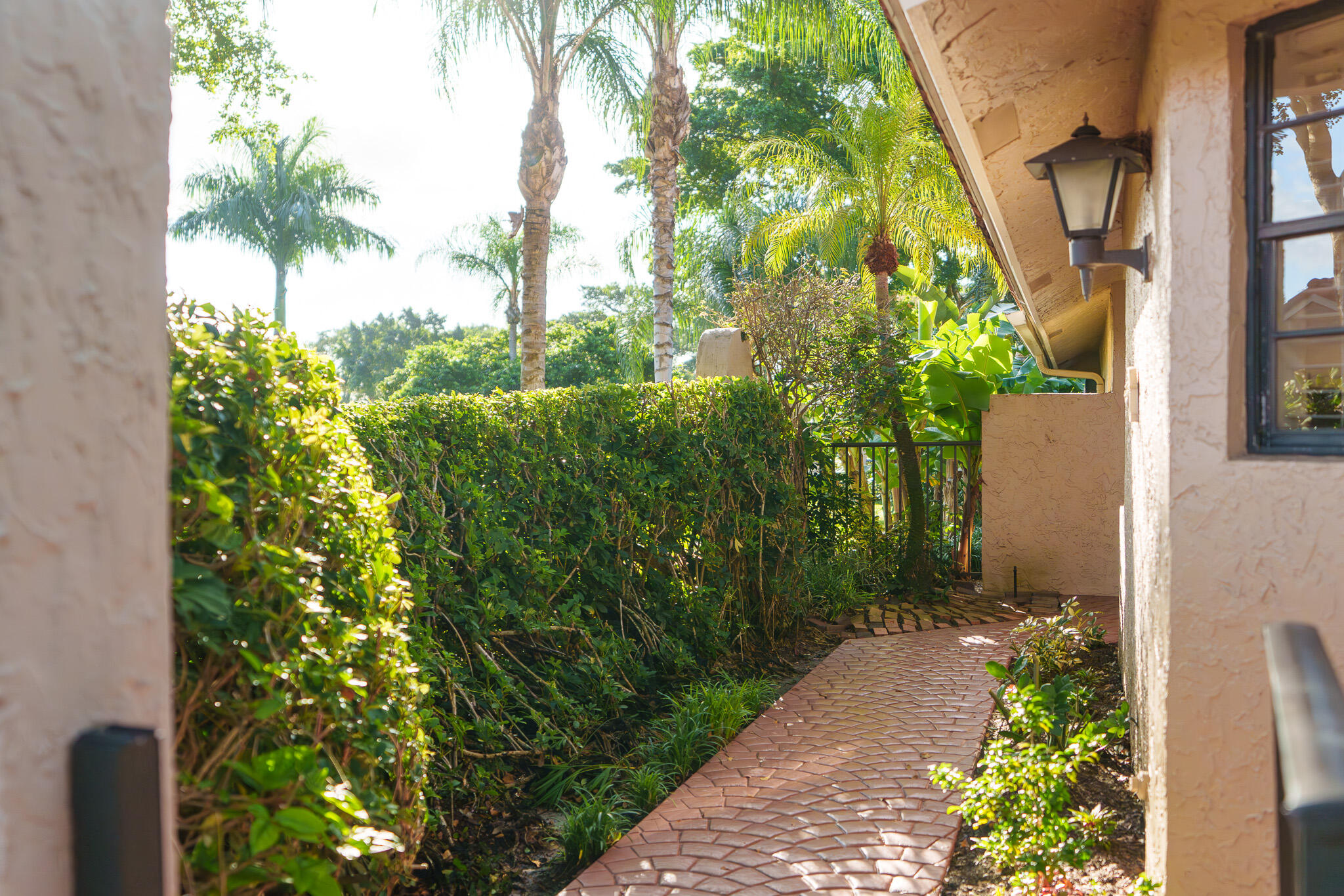 22545 Meridiana Drive Boca Raton, FL 33433 - Photo 61 of 63 a view of a garden with plants