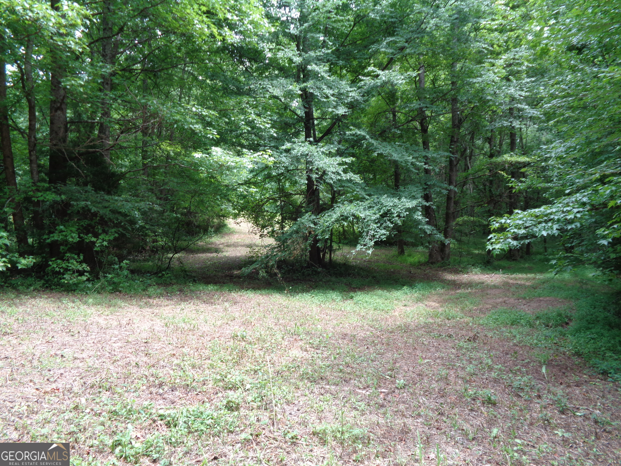 2411 Kesler Road Carnesville, GA 30521 - Photo 20 of 61 a view of outdoor space and yard