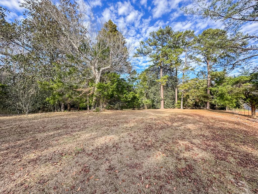 347 North Martin Street Geneva, AL 36340 - Photo 37 of 42