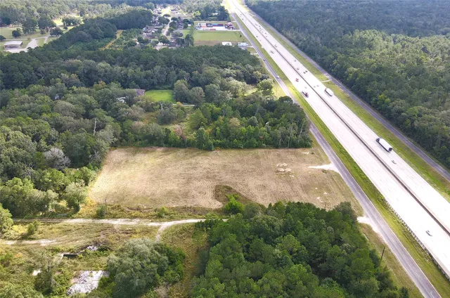 a view of a yard with plants