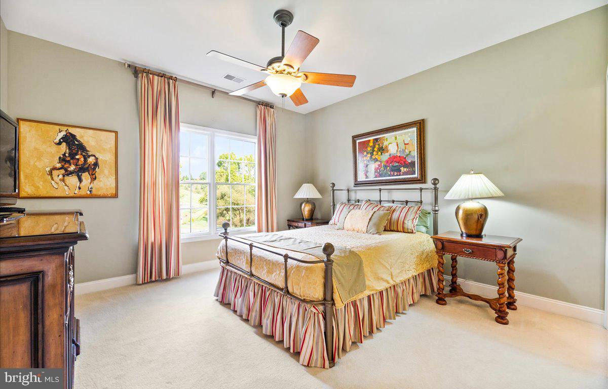 40859 Beechnut Road Leesburg, VA 20175 - Photo 34 of 81 Guest Bedroom