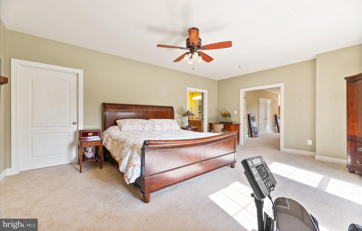 40859 Beechnut Road Leesburg, VA 20175 - Photo 48 of 81 5th Bedroom in the Basement
