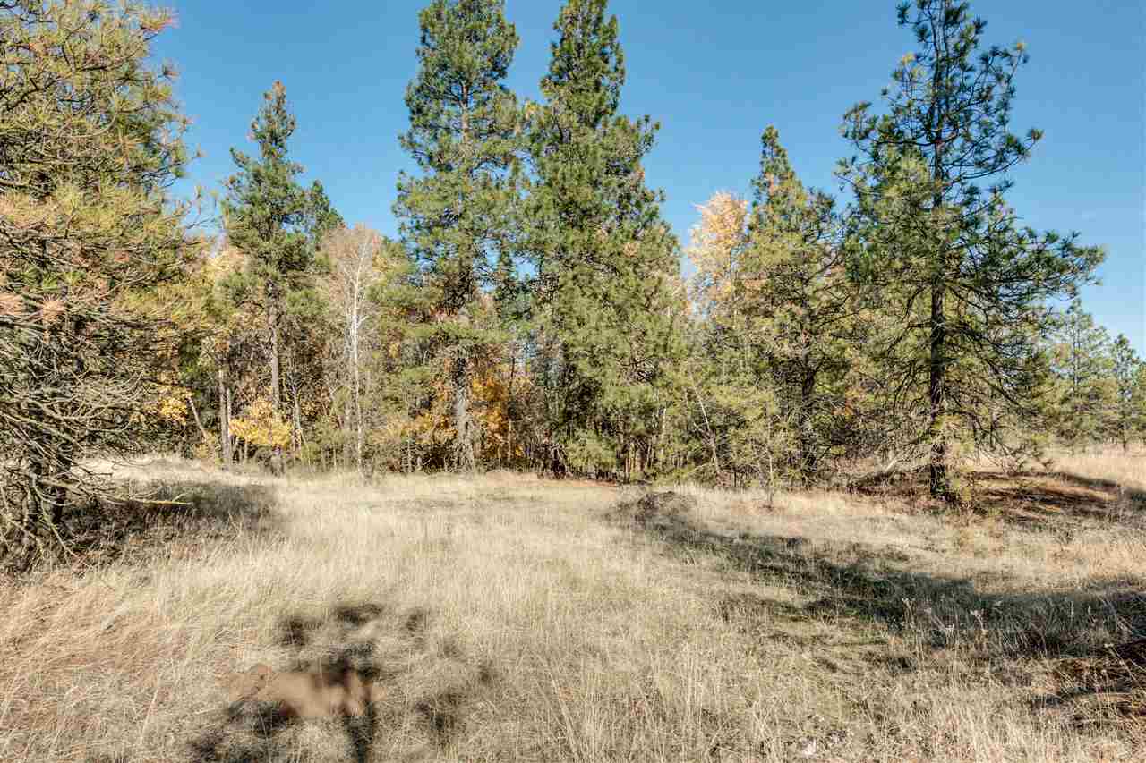 27207 West Tucker Prairie Road Cheney, WA 99004 - Photo 11 of 20