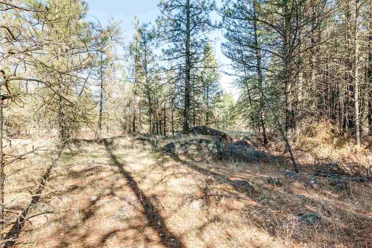 27207 West Tucker Prairie Road Cheney, WA 99004 - Photo 12 of 20