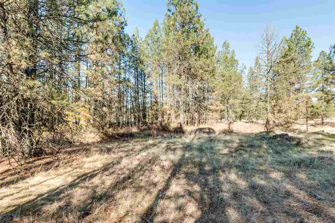 27207 West Tucker Prairie Road Cheney, WA 99004 - Photo 10 of 20