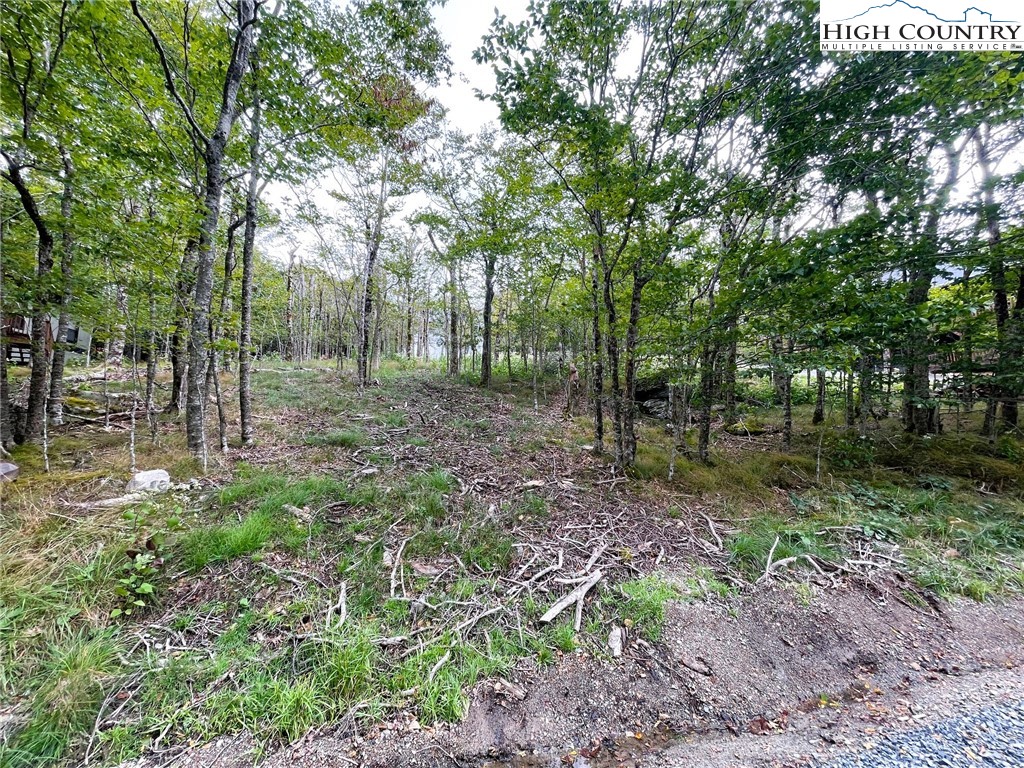 112 North Pinnacle Ridge Road Beech Mountain, NC 28604 - Photo 35 of 37