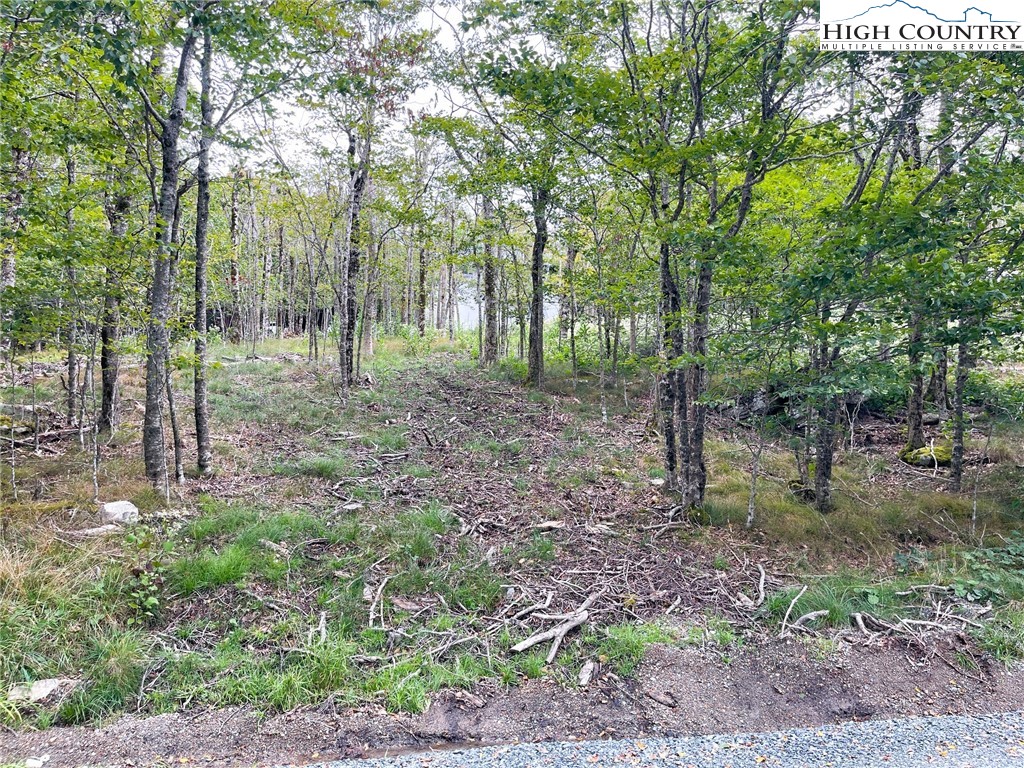 112 North Pinnacle Ridge Road Beech Mountain, NC 28604 - Photo 36 of 37