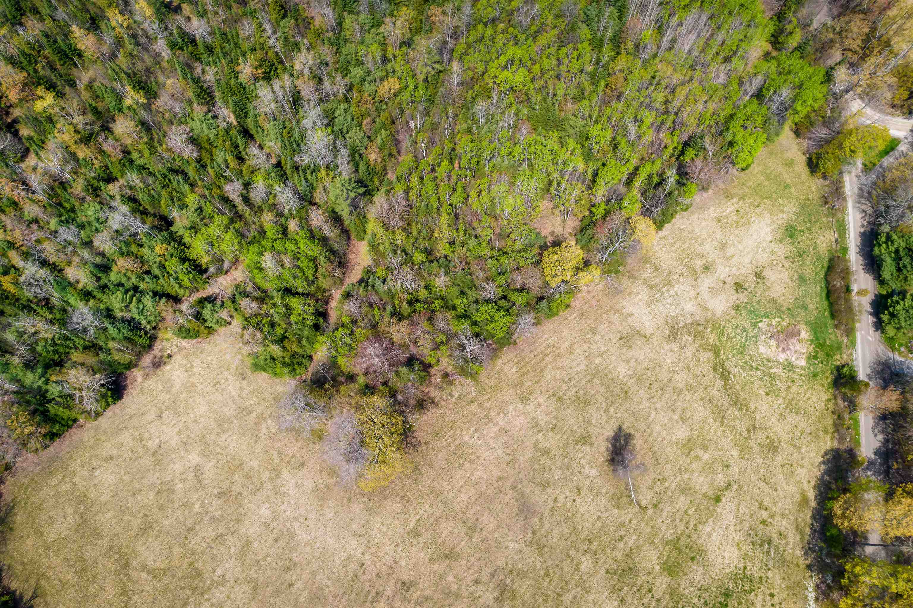 0 Fulton Road East Corinth, VT 05040 - Photo 4 of 10