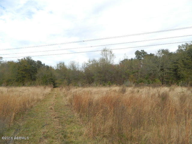 0 Louis Davis Road Early Branch, SC 29916 - Photo 4 of 24 20151222200918587861000000-o