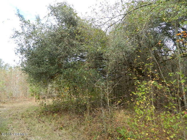 0 Louis Davis Road Early Branch, SC 29916 - Photo 7 of 24 20151222200927418652000000-o