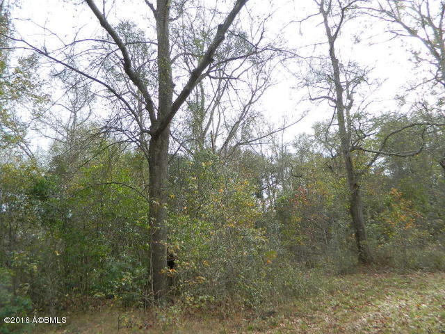 0 Louis Davis Road Early Branch, SC 29916 - Photo 8 of 24 20151222200929551733000000-o