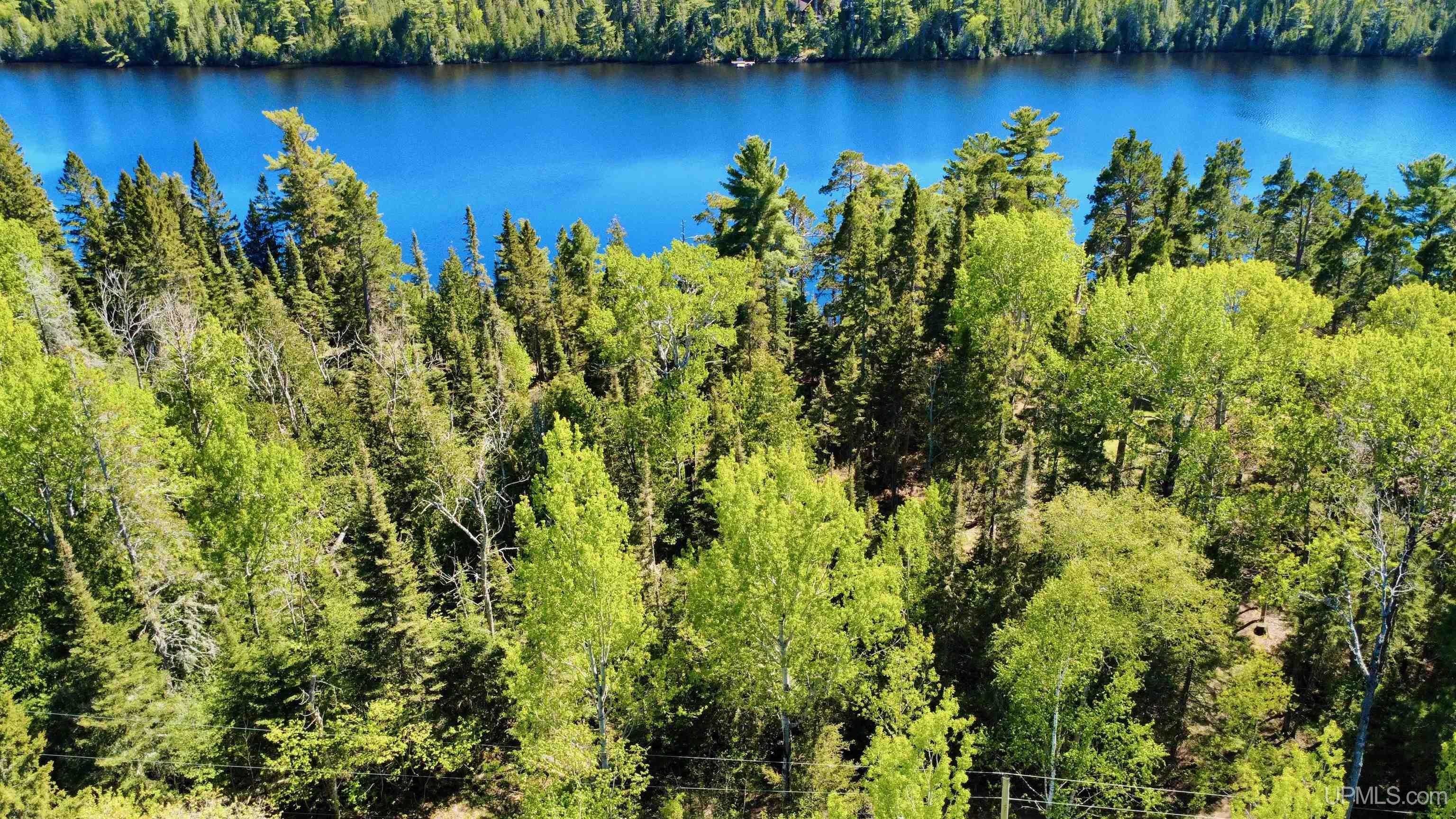 10-11 Lake Lily Road Copper Harbor, MI 49918 - Photo 2 of 4