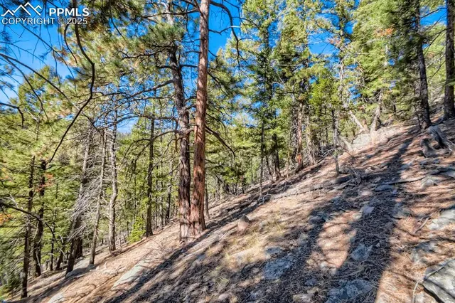a view of an outdoor space and a yard