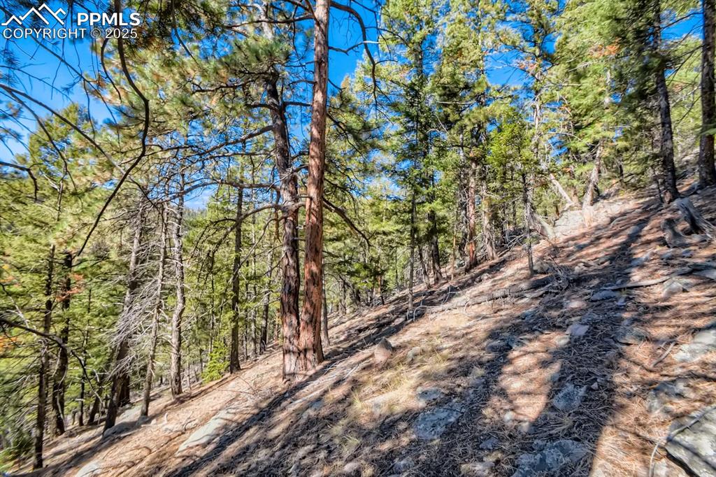 0 Elsie Road Conifer, CO 80433 - Photo 12 of 27 a view of an outdoor space and a yard