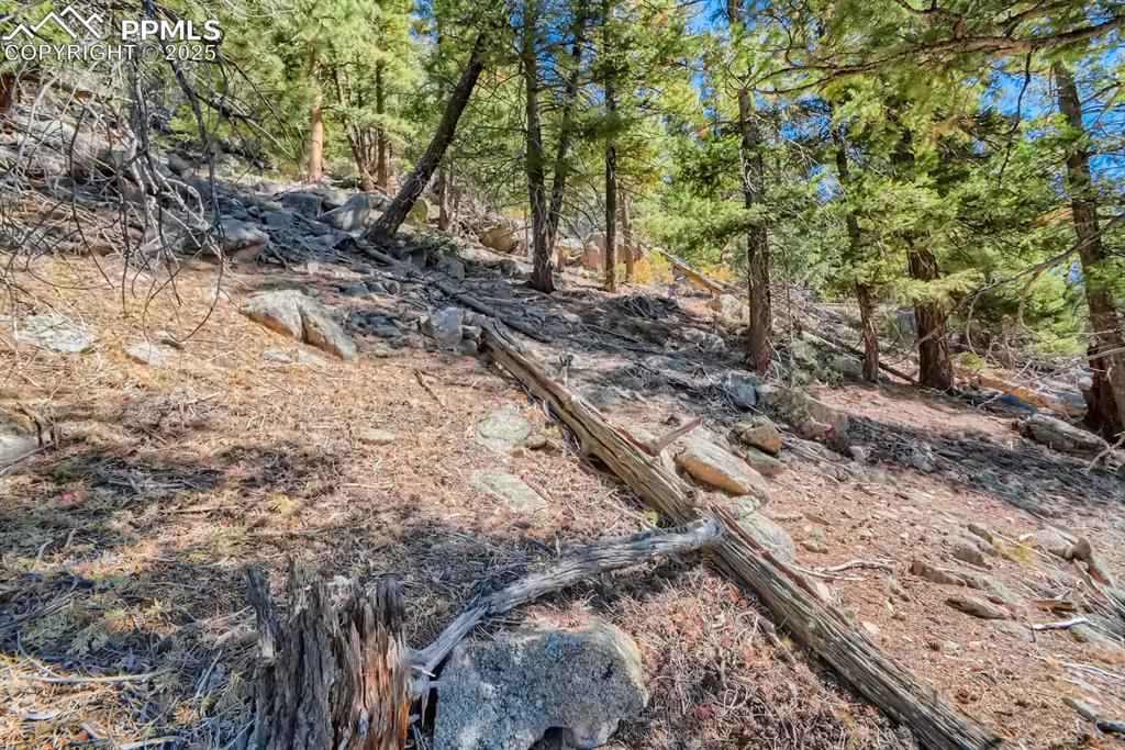 0 Elsie Road Conifer, CO 80433 - Photo 17 of 27 a view of a yard with plants and trees
