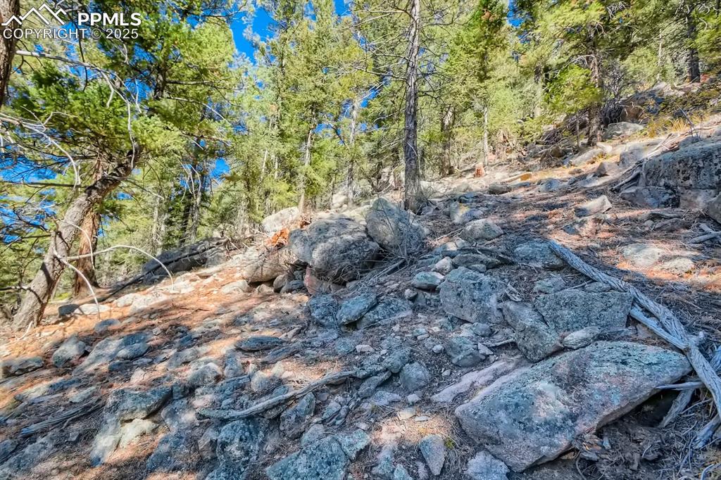 0 Elsie Road Conifer, CO 80433 - Photo 18 of 27 a view of a yard with large trees