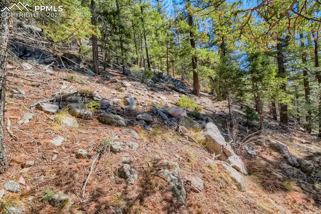 0 Elsie Road Conifer, CO 80433 - Photo 20 of 27 a view of a forest with trees