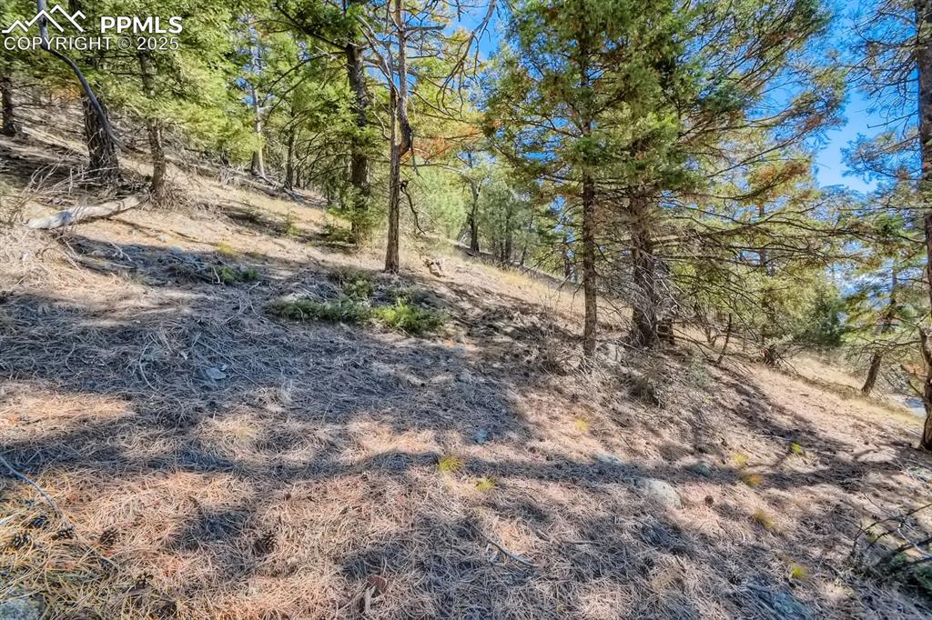0 Elsie Road Conifer, CO 80433 - Photo 25 of 27 a view of a yard with plants and trees