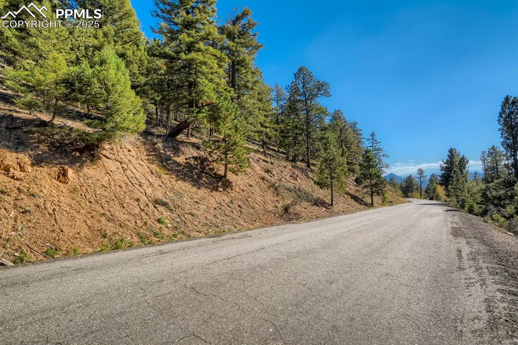 0 Elsie Road Conifer, CO 80433 - Photo 26 of 27 a view of a road from a tree