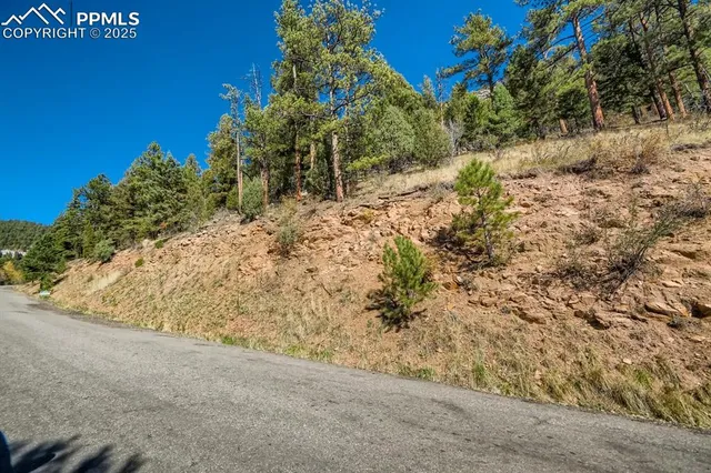 a view of a dry yard with trees