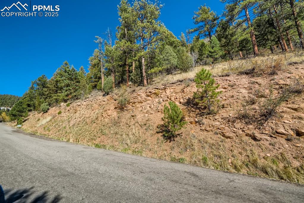 0 Elsie Road Conifer, CO 80433 - Photo 27 of 27 a view of a dry yard with trees