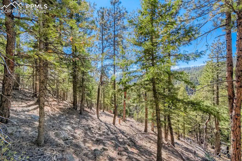 0 Elsie Road Conifer, CO 80433 - Photo 9 of 27 a backyard of a house with lots of trees