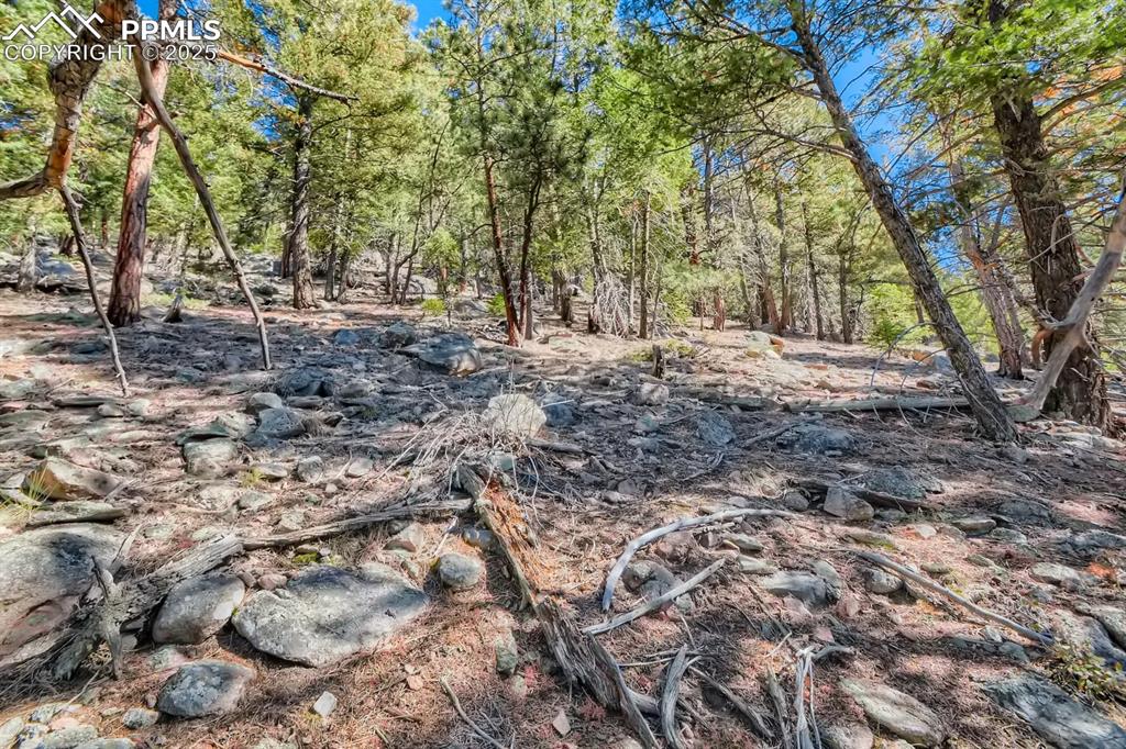 0 Elsie Road Conifer, CO 80433 - Photo 10 of 27 a view of outdoor space and tree