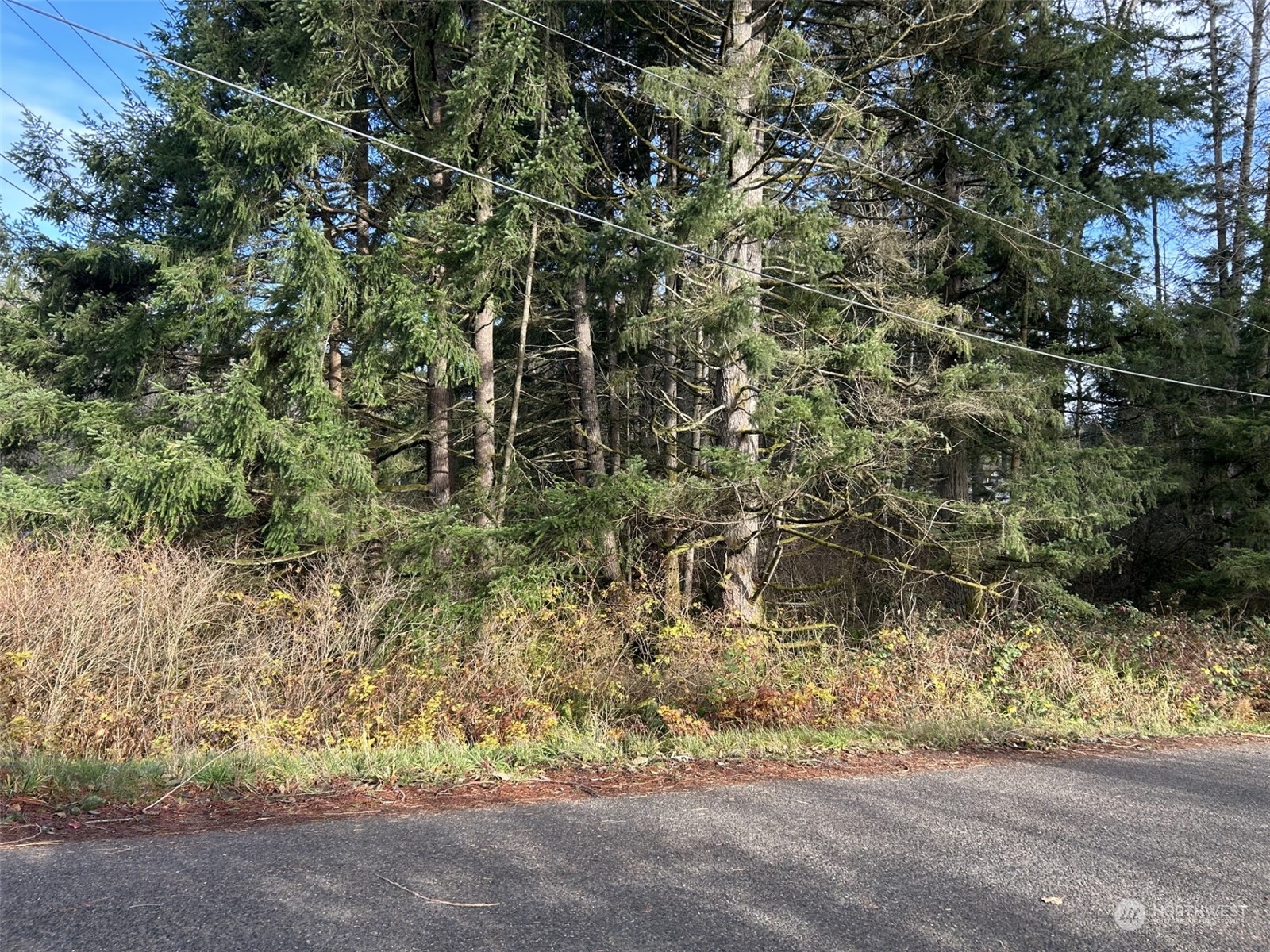 27 Northeast Rova Road Poulsbo, WA 98370 - Photo 3 of 9