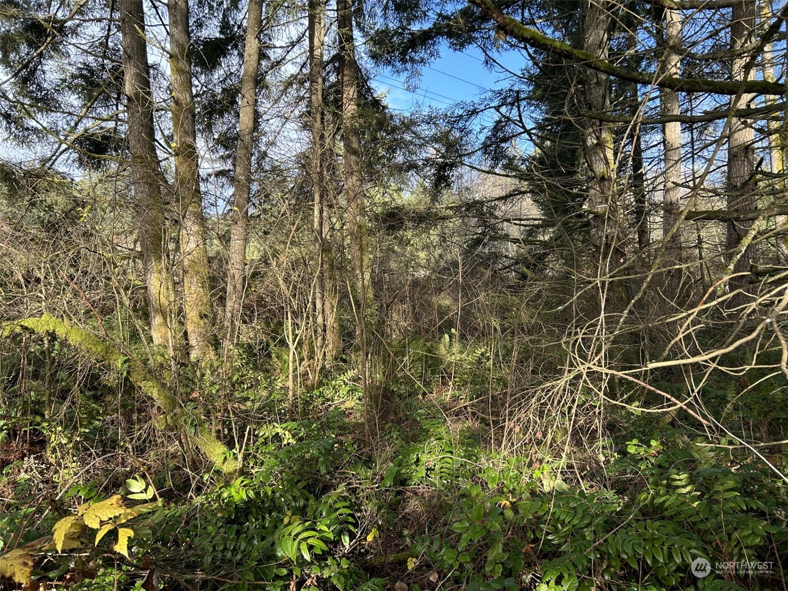 27 Northeast Rova Road Poulsbo, WA 98370 - Photo 4 of 9