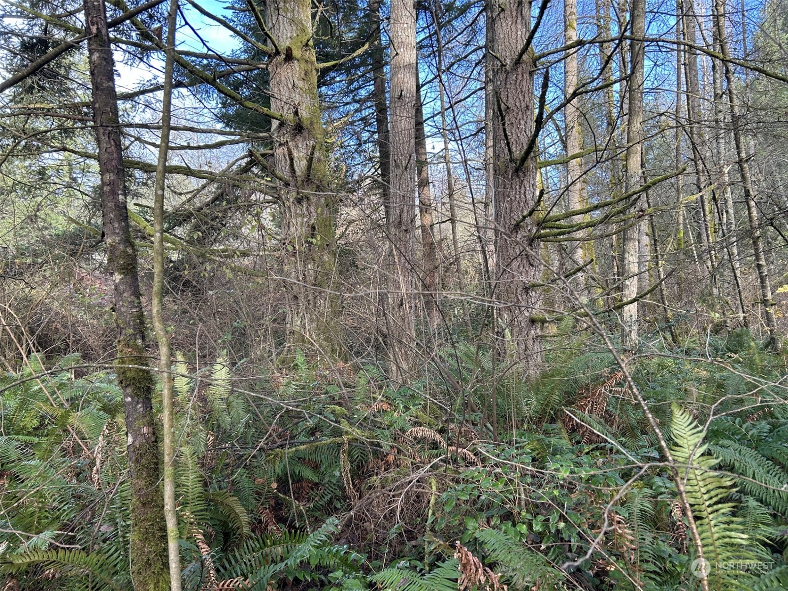 27 Northeast Rova Road Poulsbo, WA 98370 - Photo 5 of 9