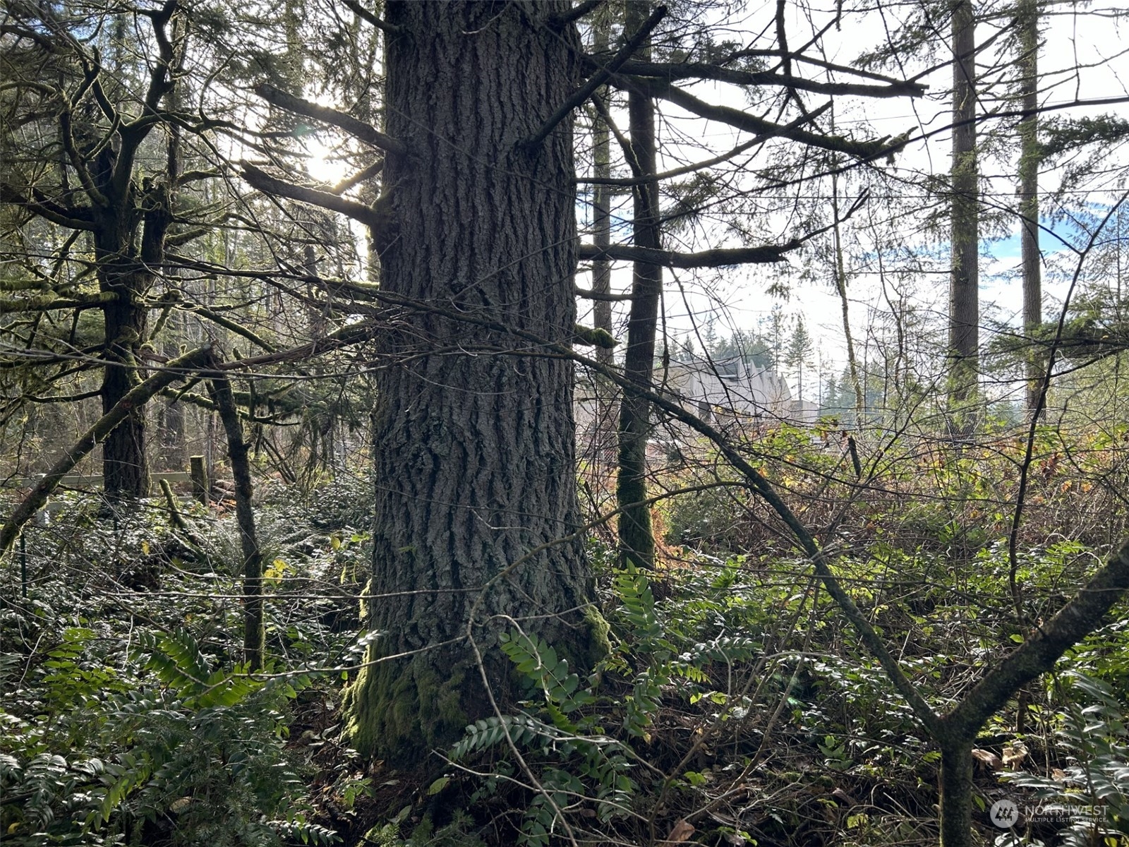 27 Northeast Rova Road Poulsbo, WA 98370 - Photo 8 of 9