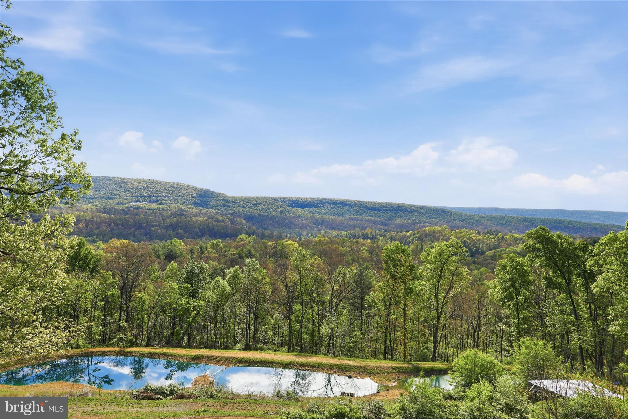 9580 Timber Ridge Road Big Cove Tannery, PA 17212 - Photo 5 of 56 a view of a yard with an outdoor space