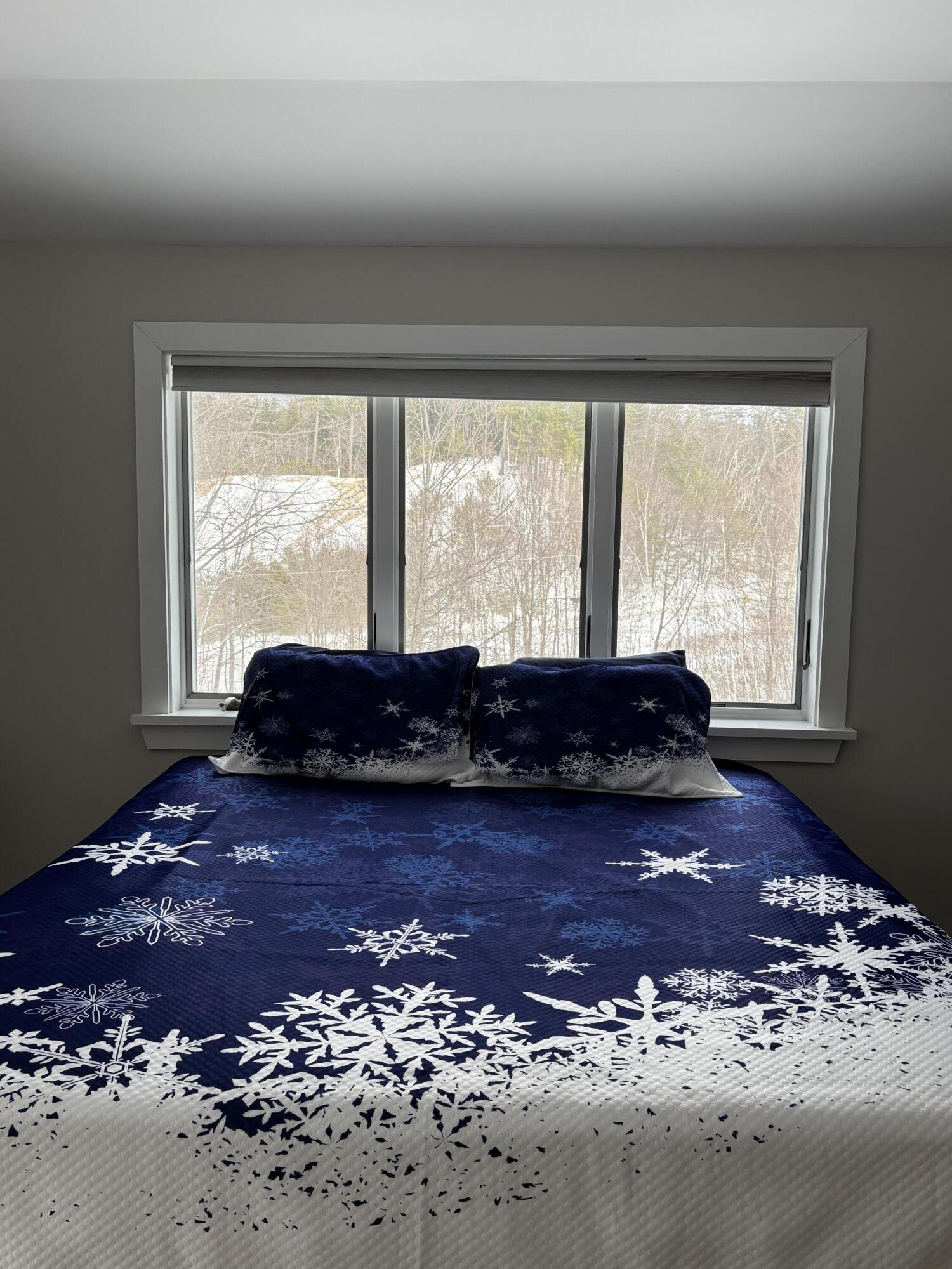 1686 N Road Gilead, ME 04217 - Photo 18 of 71 IMG_4961