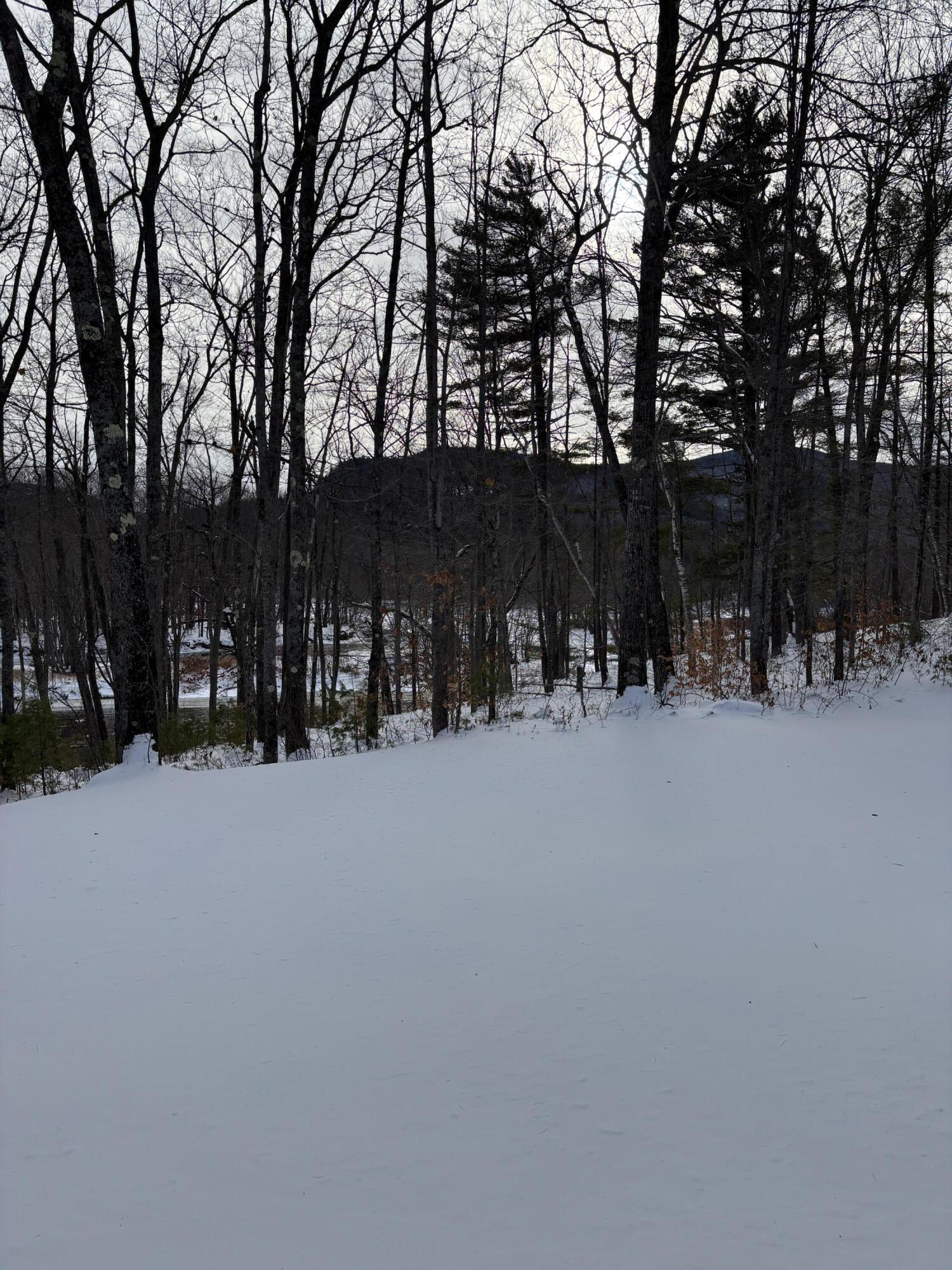 1686 N Road Gilead, ME 04217 - Photo 64 of 71 IMG_4991