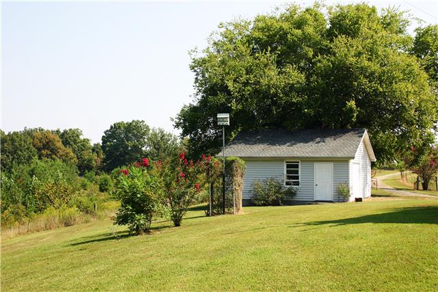 3848 Shiloh Canaan Road Palmyra, TN 37142 - Photo 6 of 19 Plenty of Room to Run