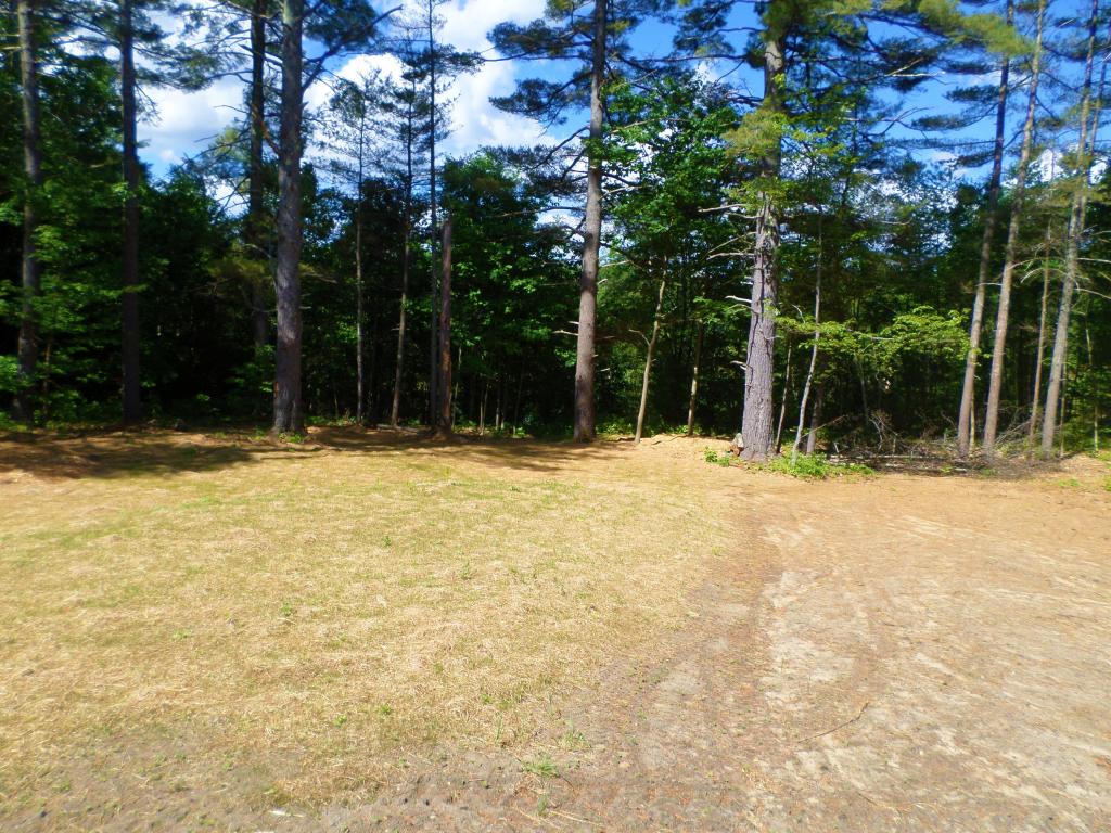 137 Mad River Road Thornton, NH 03285 - Photo 21 of 23