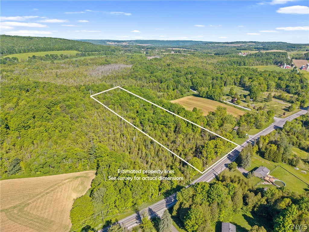 Nelson Road Cazenovia, NY 13035 - Photo 10 of 15