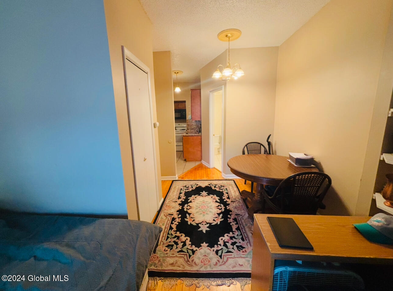 36 Spring Street Albany, NY 12210 - Photo 16 of 29 IMG_4619