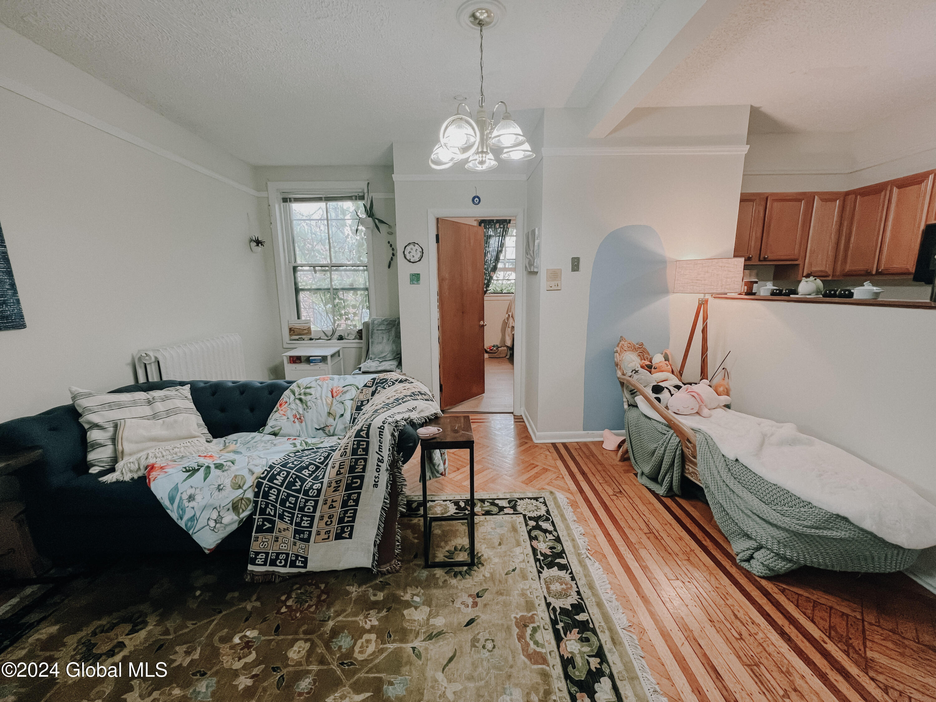 36 Spring Street Albany, NY 12210 - Photo 2 of 29 IMG_2521